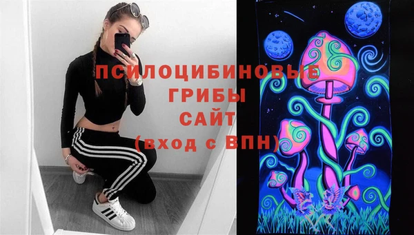 прущий лед Аркадак