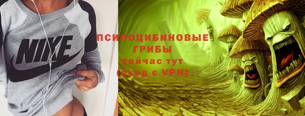 не бодяженный Арсеньев